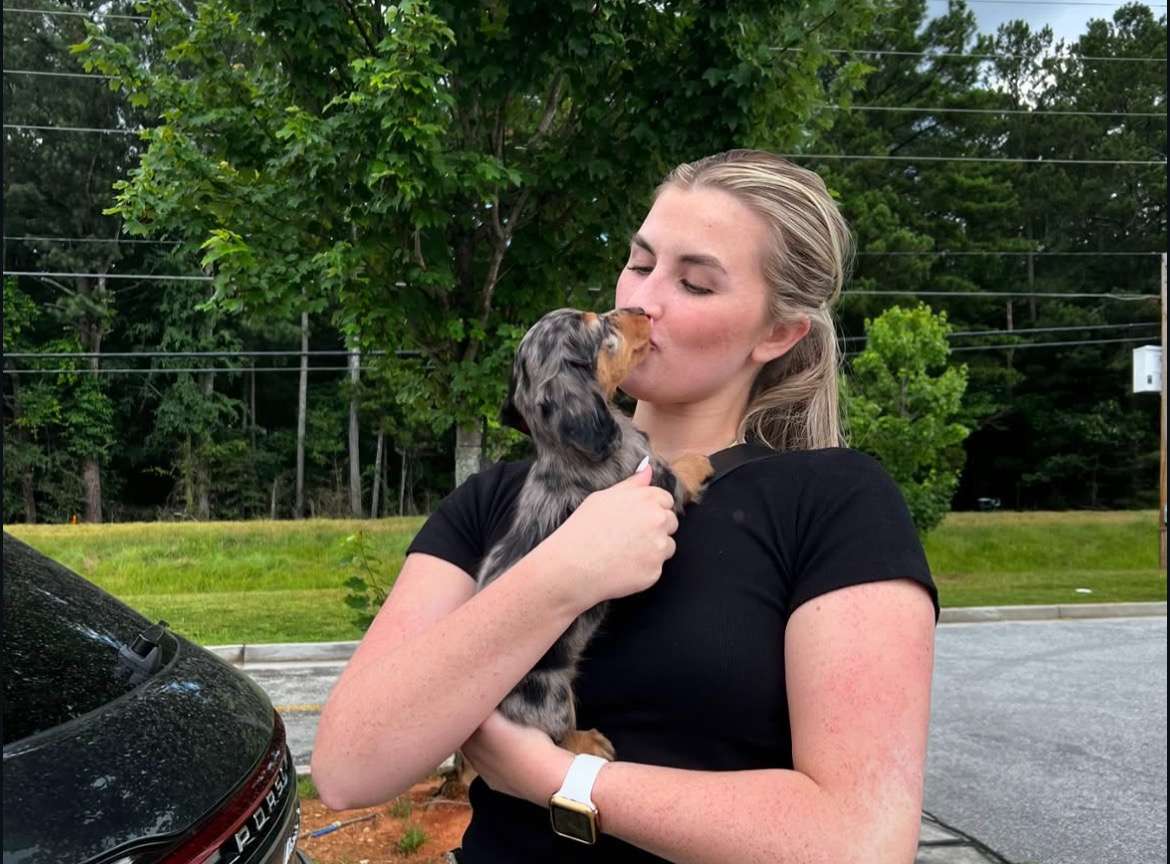Puppy from The Adams Family